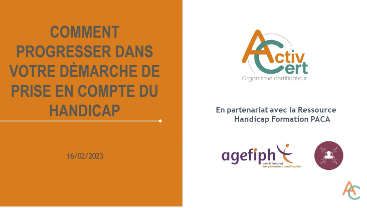 webinaire "Comment progresser dans votre démarche de prise en compte du handicap"